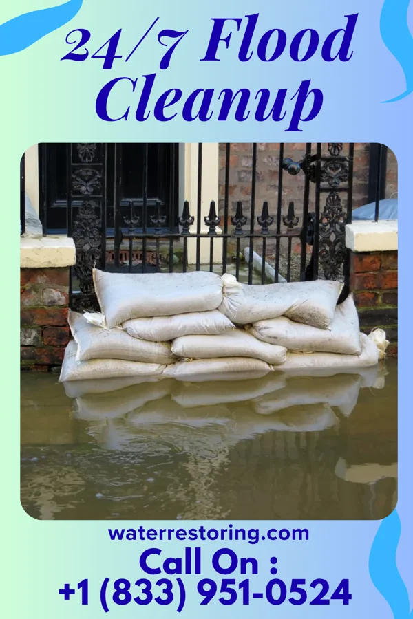 24/7 Flood Cleanup in Kenyon, MN