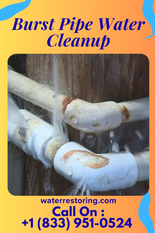 Burst Pipe Water Cleanup in Kenyon, MN