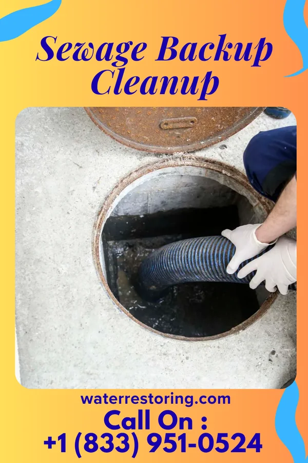 Sewage Backup Cleanup in Kenyon, MN