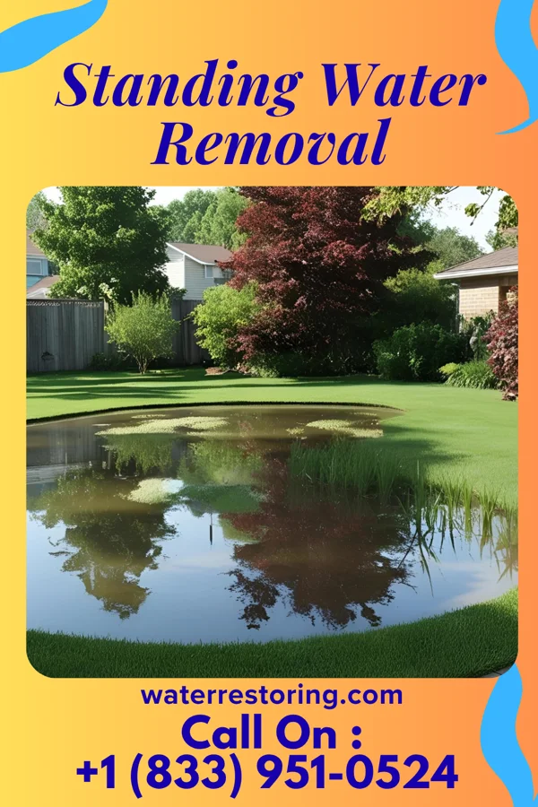 Standing Water Removal in Kenyon, MN